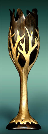 Forest Guardian Vessel (Pic)