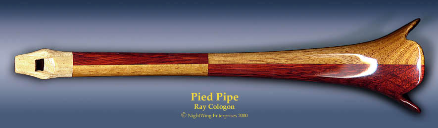 Pied Pipe Pic (enlarged)